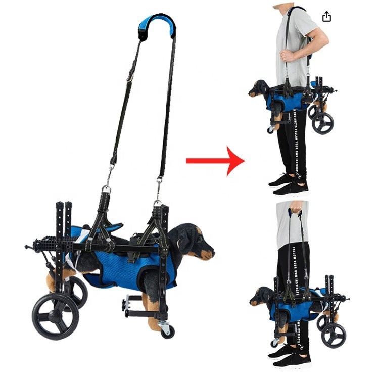 Outdoor Power Wheels - Small Dog Rehabilitation Training Walking Aid